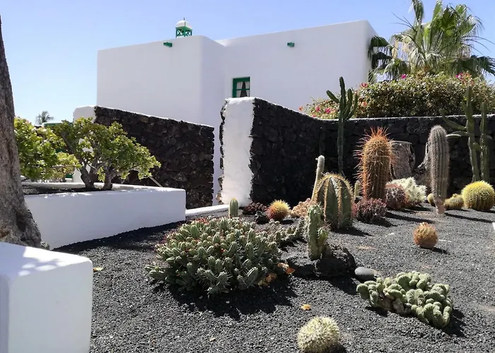 Palmeras I Puerto del Carmen (Lanzarote)