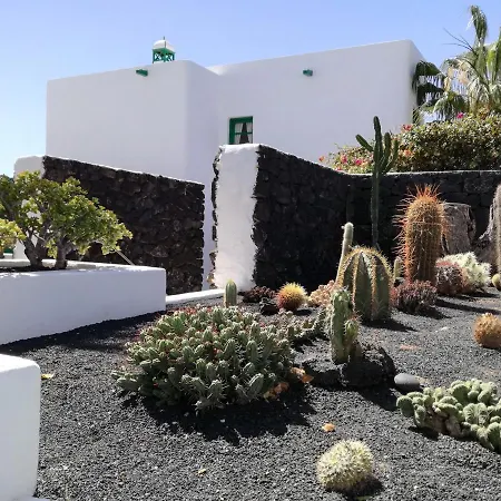 Palmeras I Puerto del Carmen (Lanzarote)